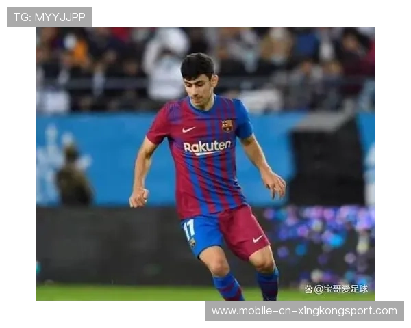 维拉迪涅发挥稳定