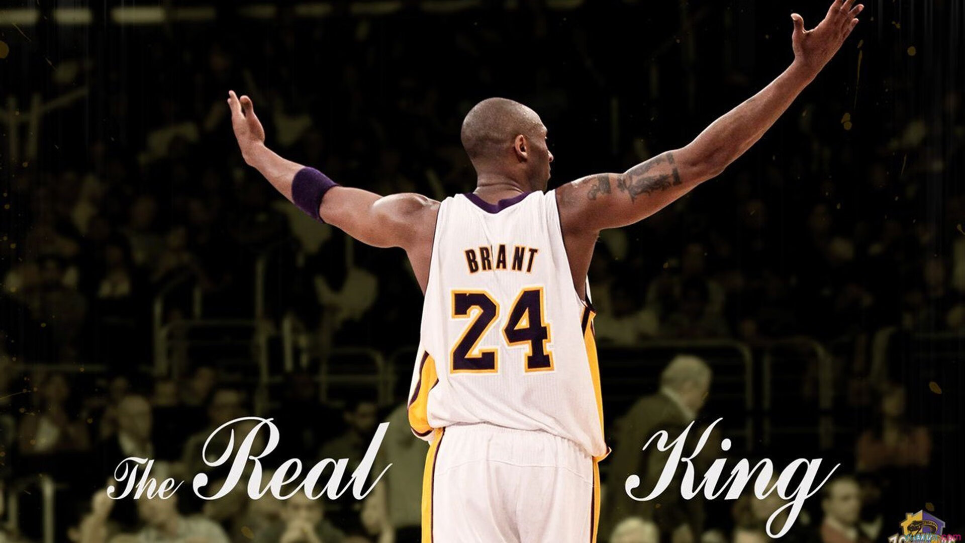 跑步赛事报名人数创新高